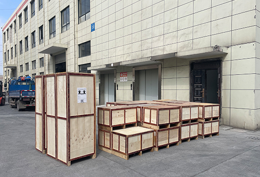 苏旋风采
